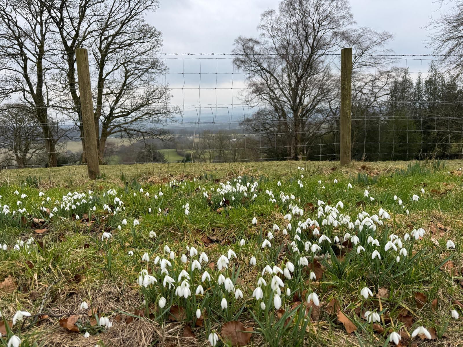 Springing In Spring in Your Step